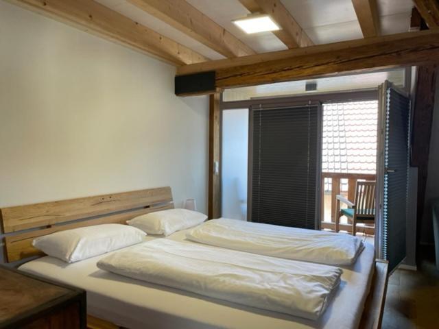 Bodenseehotel Krone & Gaestehaus Бодман-Лудвигсхафен Екстериор снимка